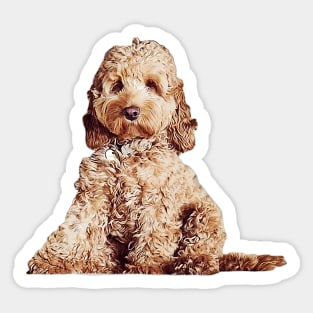 Cavoodle Labradoodle Cockapoo Mini Poodle x Cute Puppy Dog Sticker